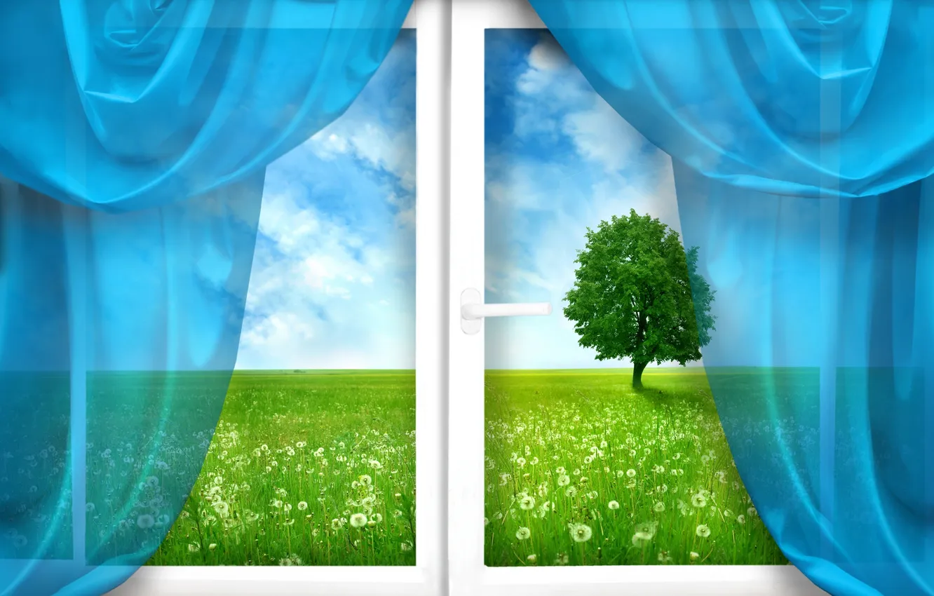 Photo wallpaper field, grass, trees, dandelion, window, curtains