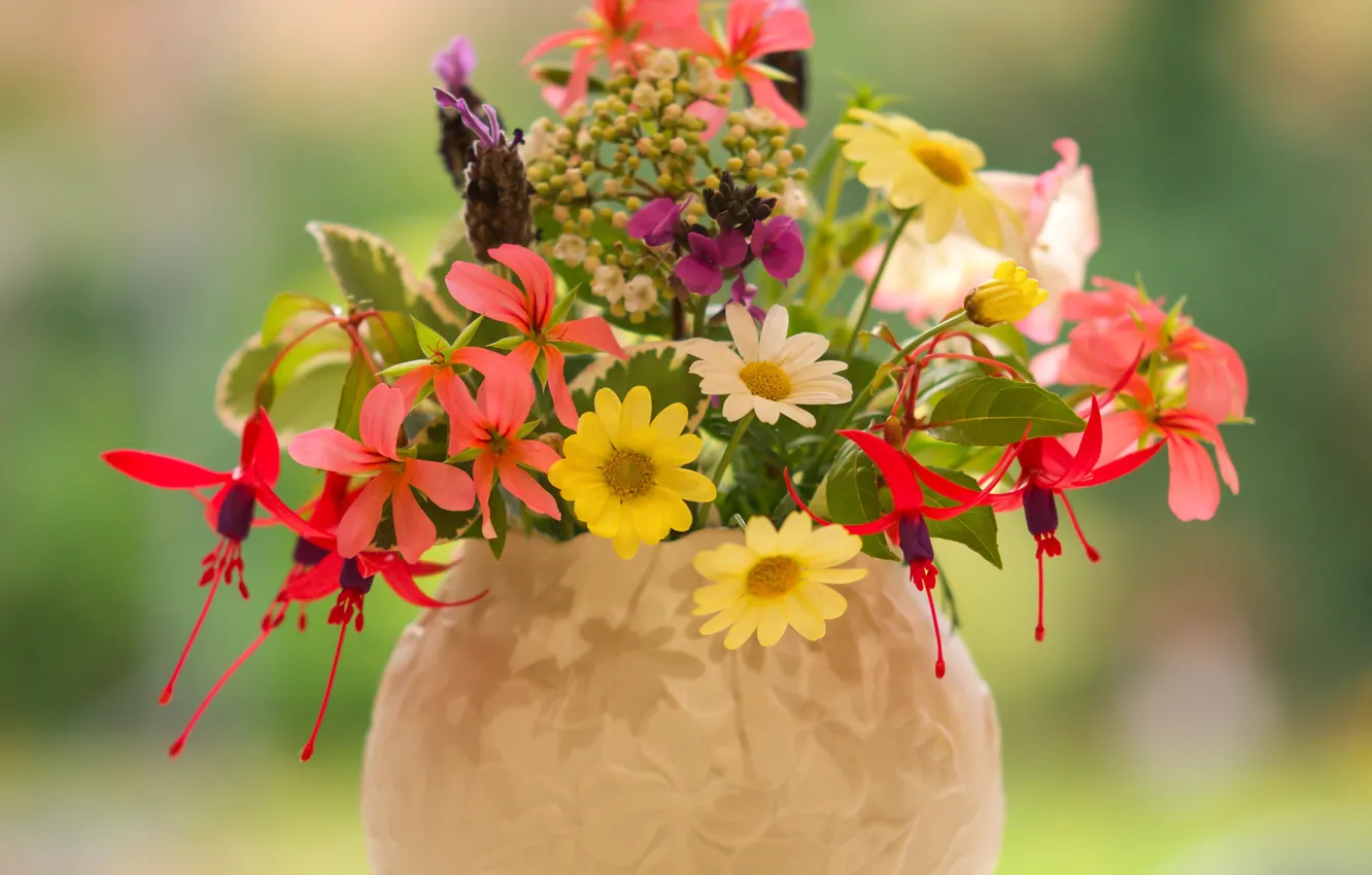 Photo wallpaper chamomile, vase, lavender, fuchsia, pelargonium, summer bouquet, Erysimum