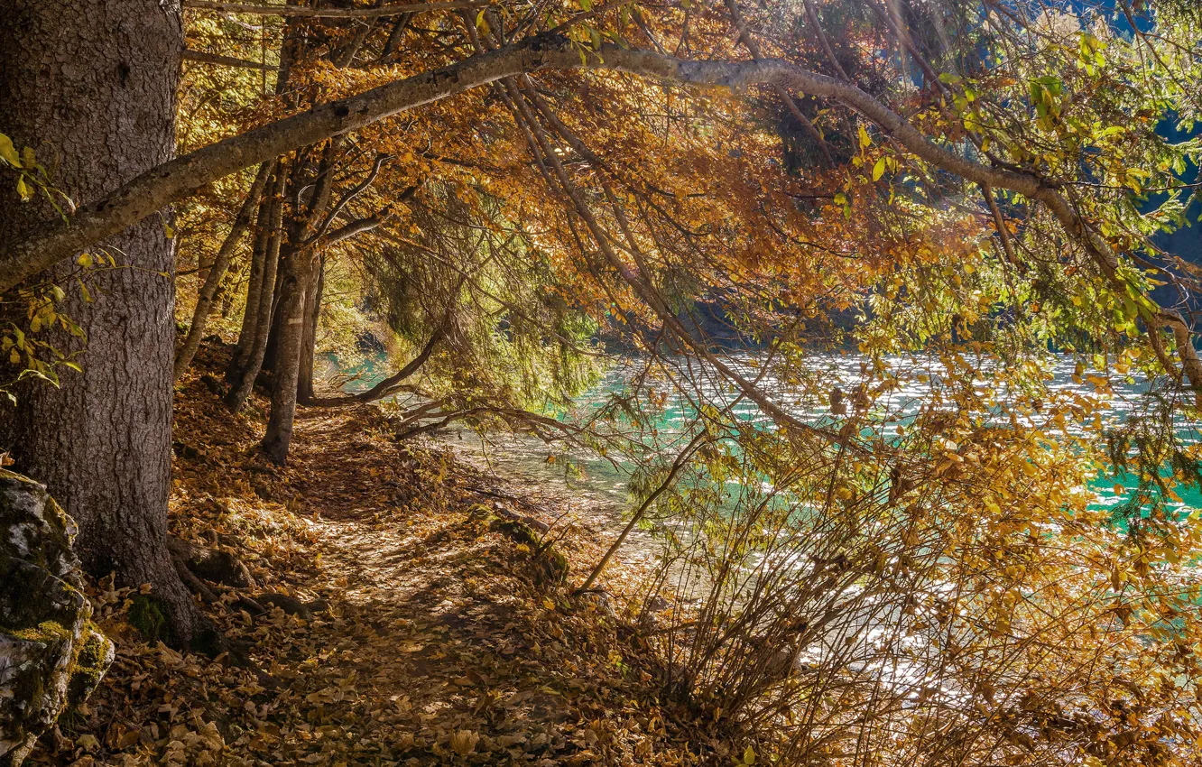 Photo wallpaper autumn, trees, lake, Italy, Trentino Alto Adige, Lago di Tovel, The Adamello Brenta Park