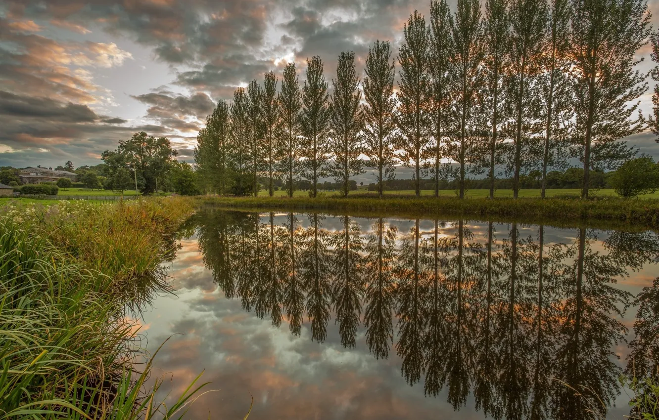 Photo wallpaper landscape, nature, river, beauty