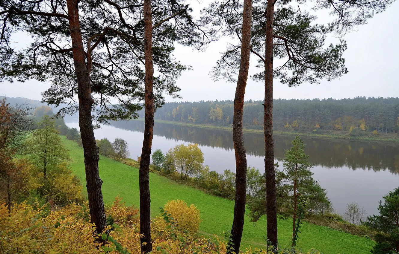 Photo wallpaper forest, river, Lithuania, trees., Lithuania, Bristonas