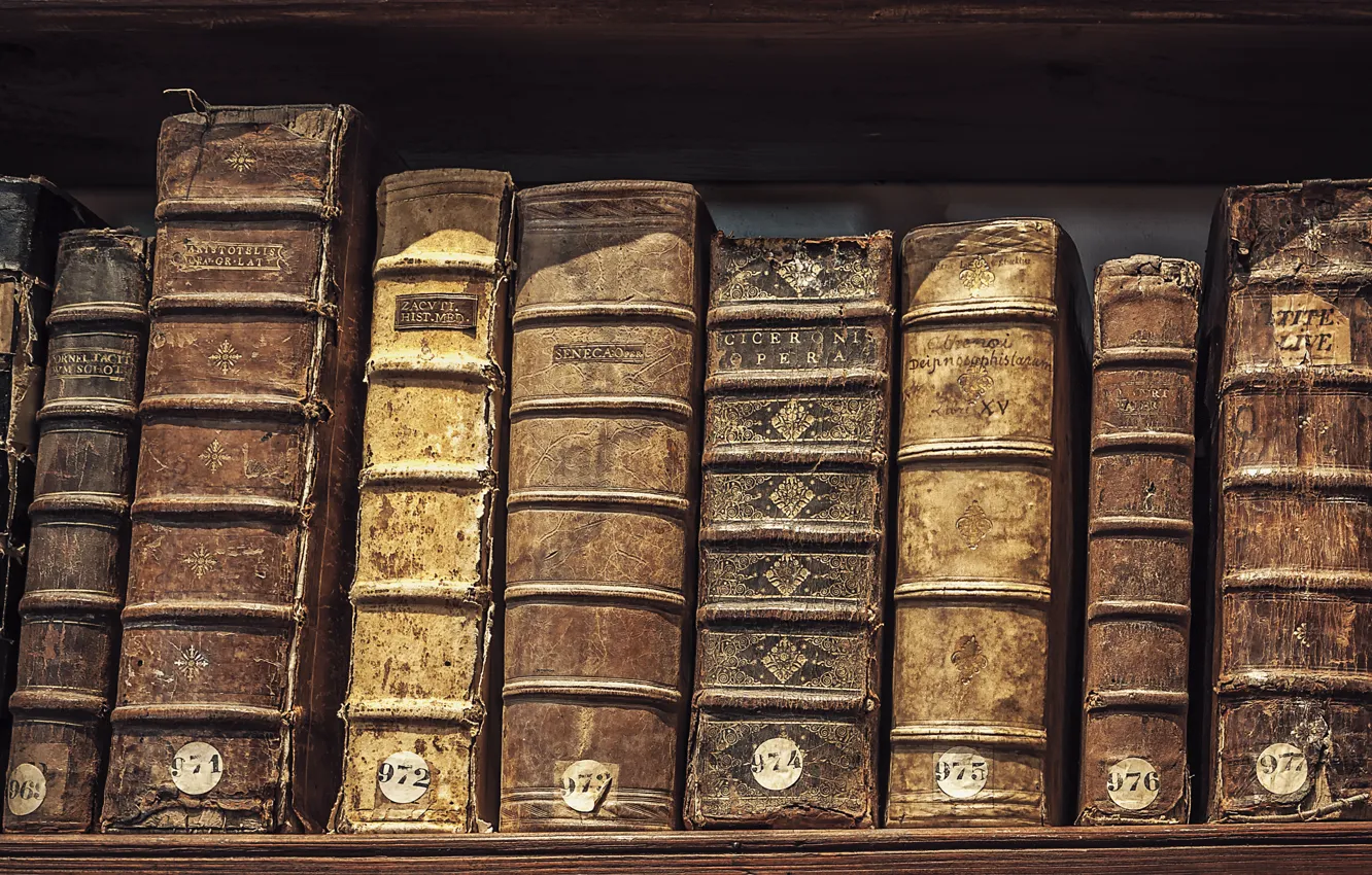 Photo wallpaper old, books, library, hardcover