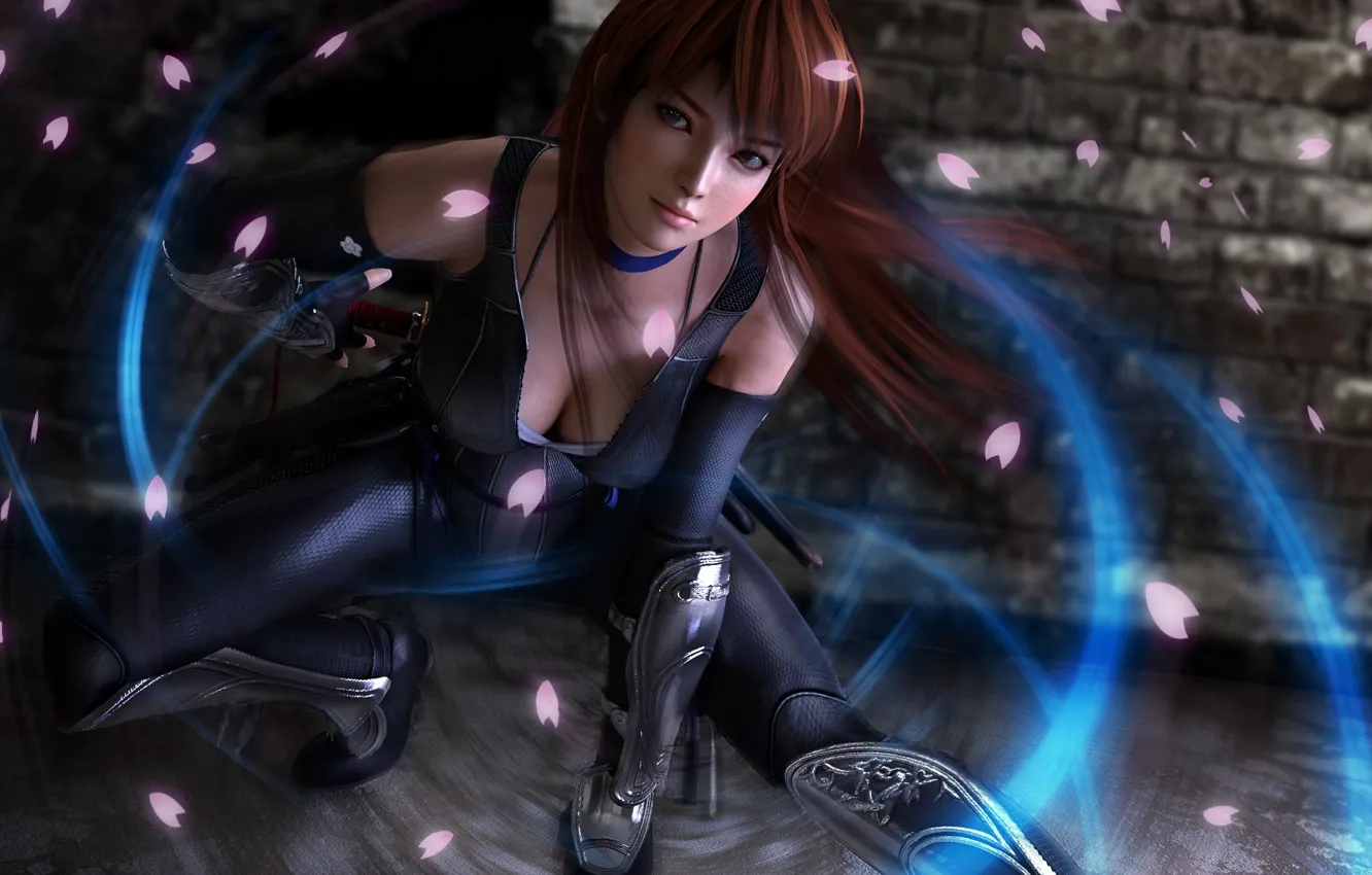 Photo wallpaper girl, pose, petals, Dead or Alive 5, Profit Ninja
