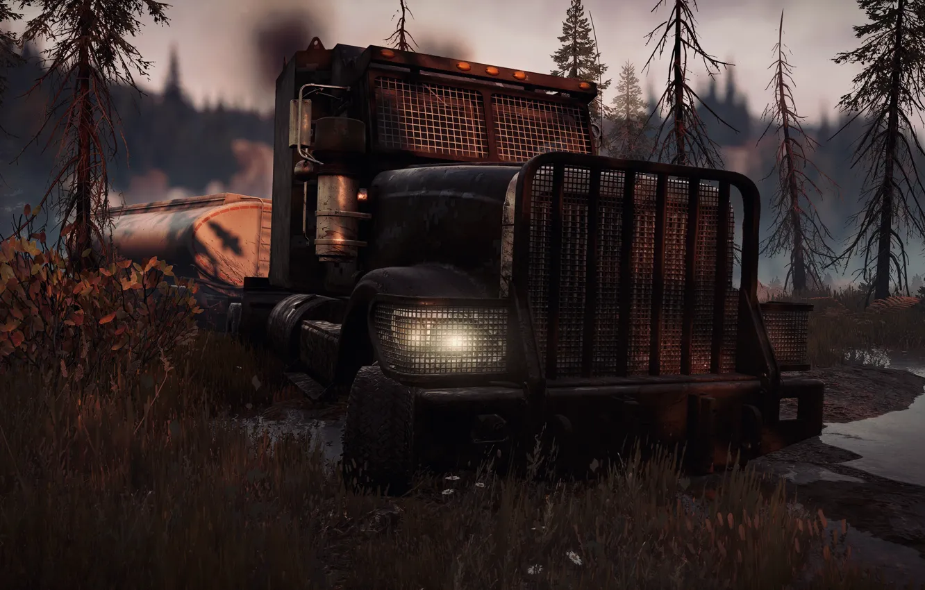 Photo wallpaper lights, HDR, game, trees, smoke, wood, water, truck