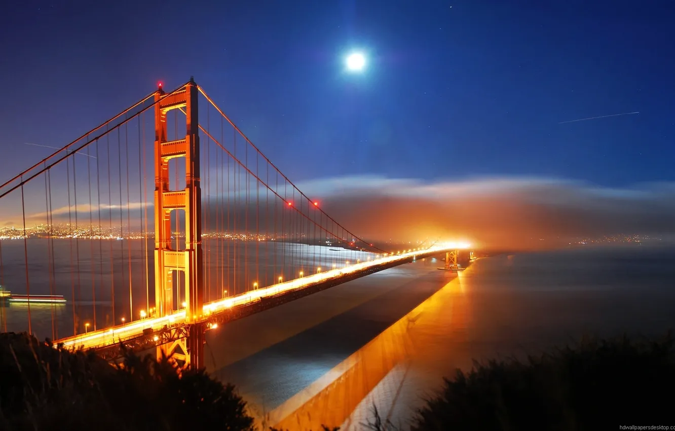 Photo wallpaper Sea, The city, River, City lights, Ocean, The cost, The river above the bridge