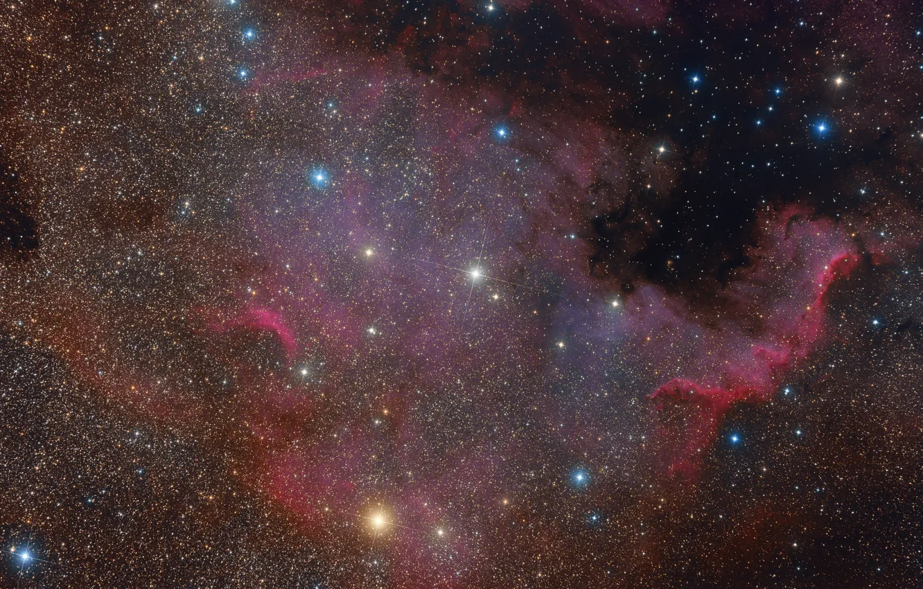 Photo wallpaper Nebula, North America, North America Nebula, in the constellation Swan
