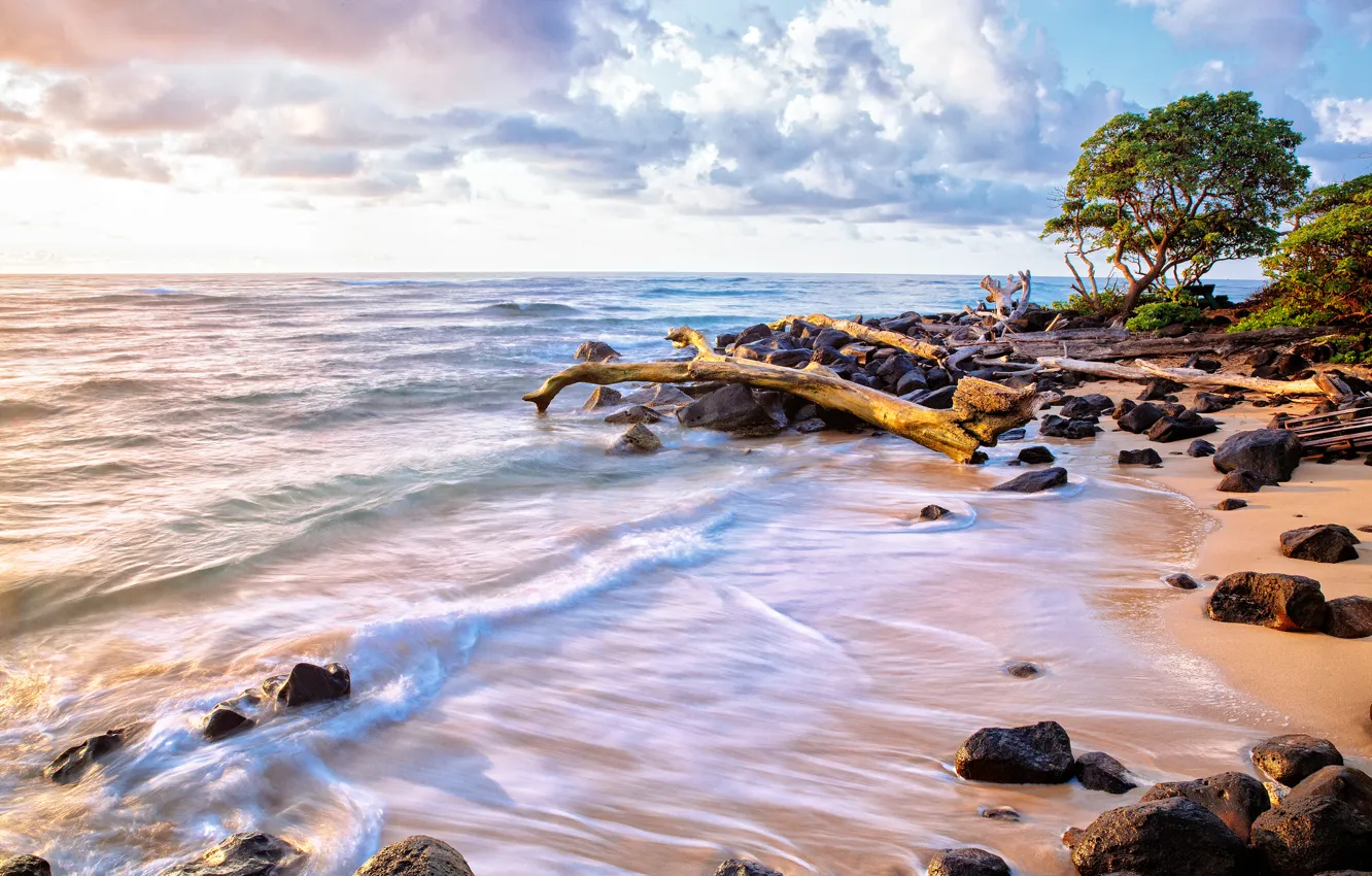 Photo wallpaper sand, sea, wave, beach, the sky, water, clouds, trees