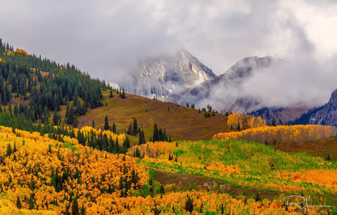Photo wallpaper autumn, forest, fog, USA, Colorado, mountain Capitol Peak
