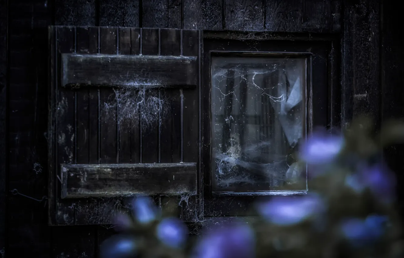 Photo wallpaper face, window, horror, Creek, The devil inside