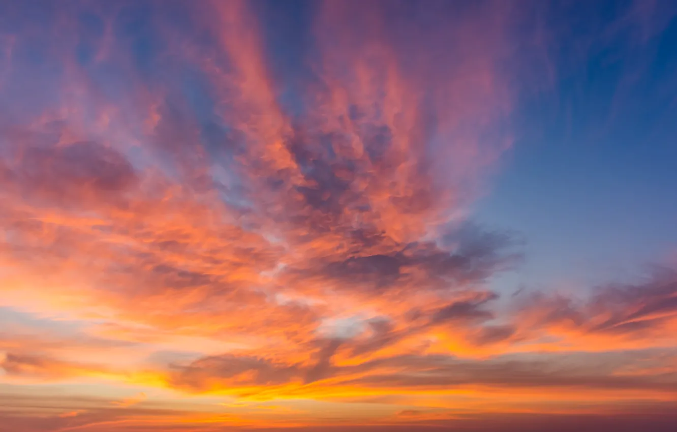 Photo wallpaper the sky, clouds, sunset, background, pink, colorful, sky, sunset