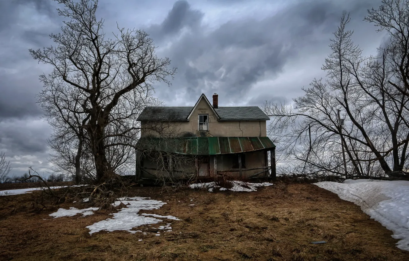Photo wallpaper winter, house, tree
