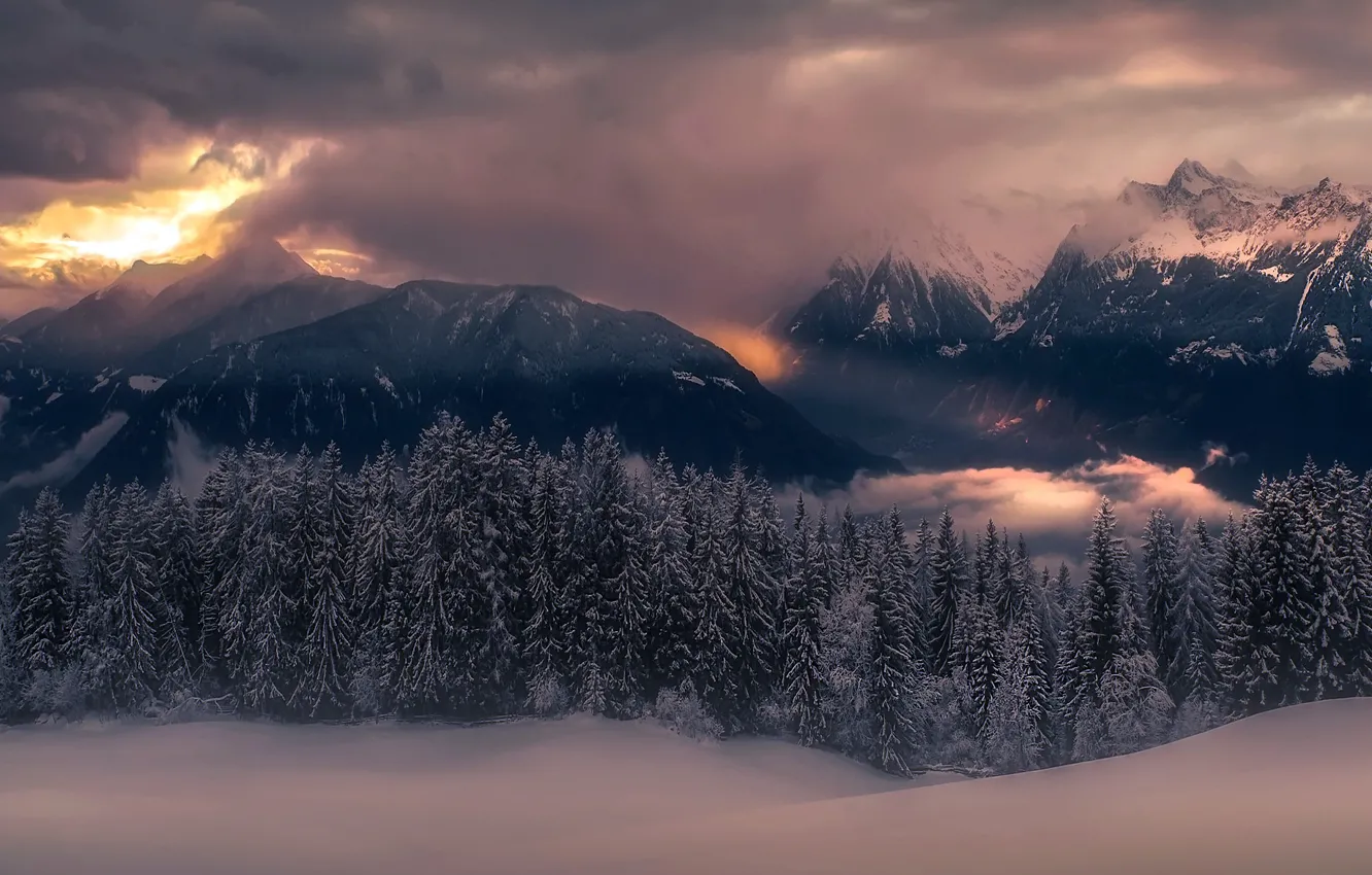 Photo wallpaper winter, forest, mountains