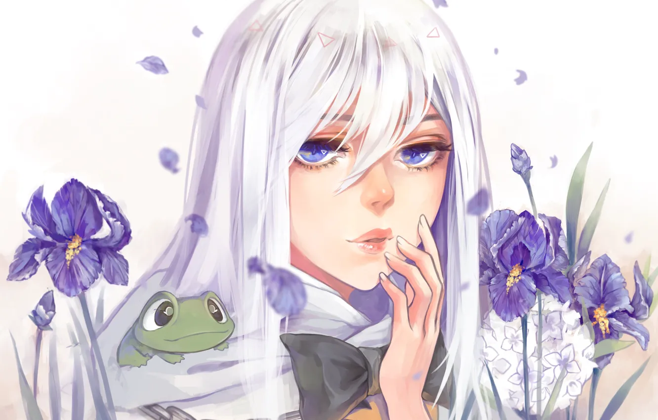 Photo wallpaper face, hand, frog, petals, chain, girl, white background, blue eyes