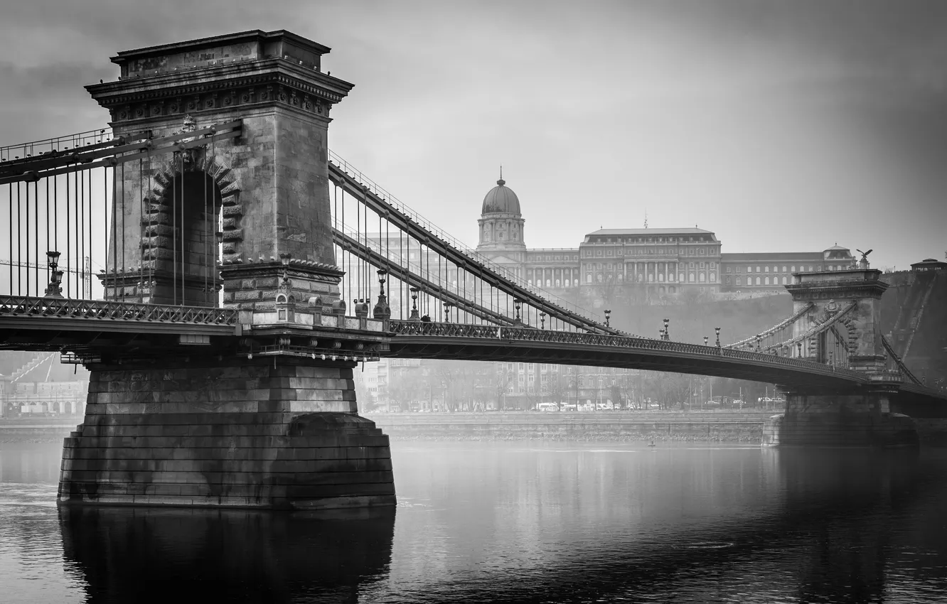 Photo wallpaper bridge, river, Hungary, Hungary, Budapest, The Danube, Budapest