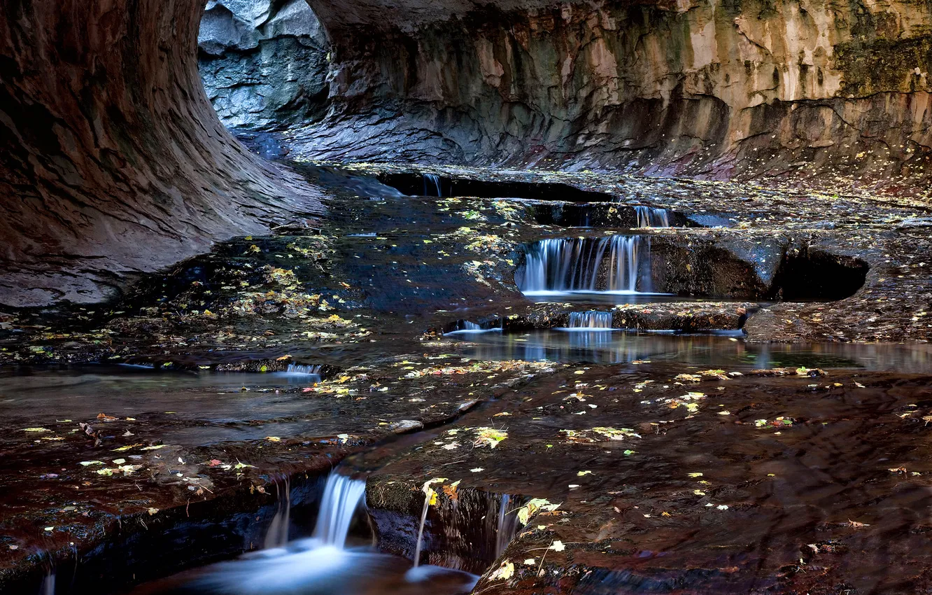 Photo wallpaper leaves, stream, rocks, Utah, USA, the tunnel, Zion National Park