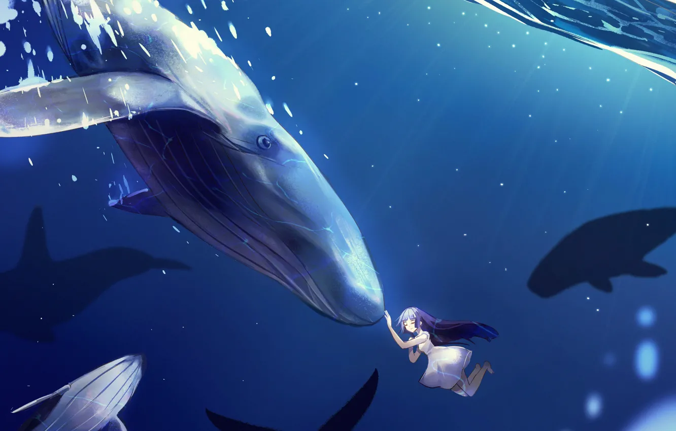 Photo wallpaper girl, whales, under water