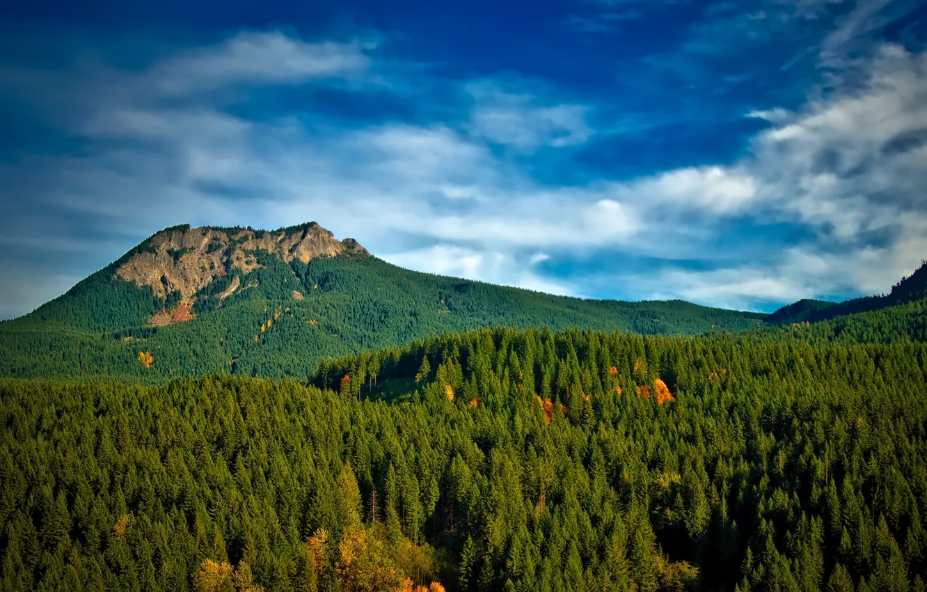 Photo wallpaper autumn, forest, the sky, clouds, trees, mountains, Washington, USA