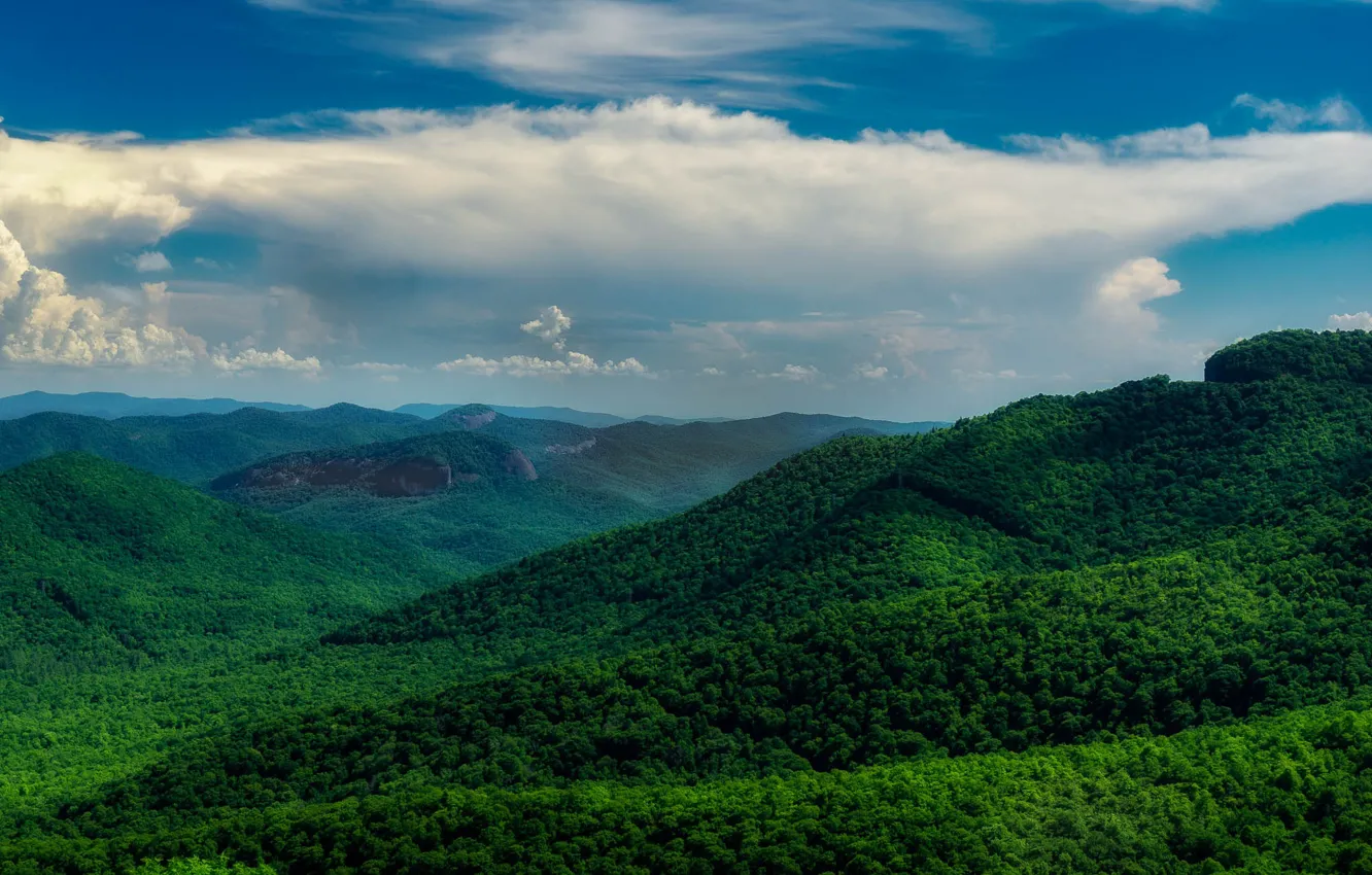 Photo wallpaper greens, forest, clouds, mountains, blue, slope