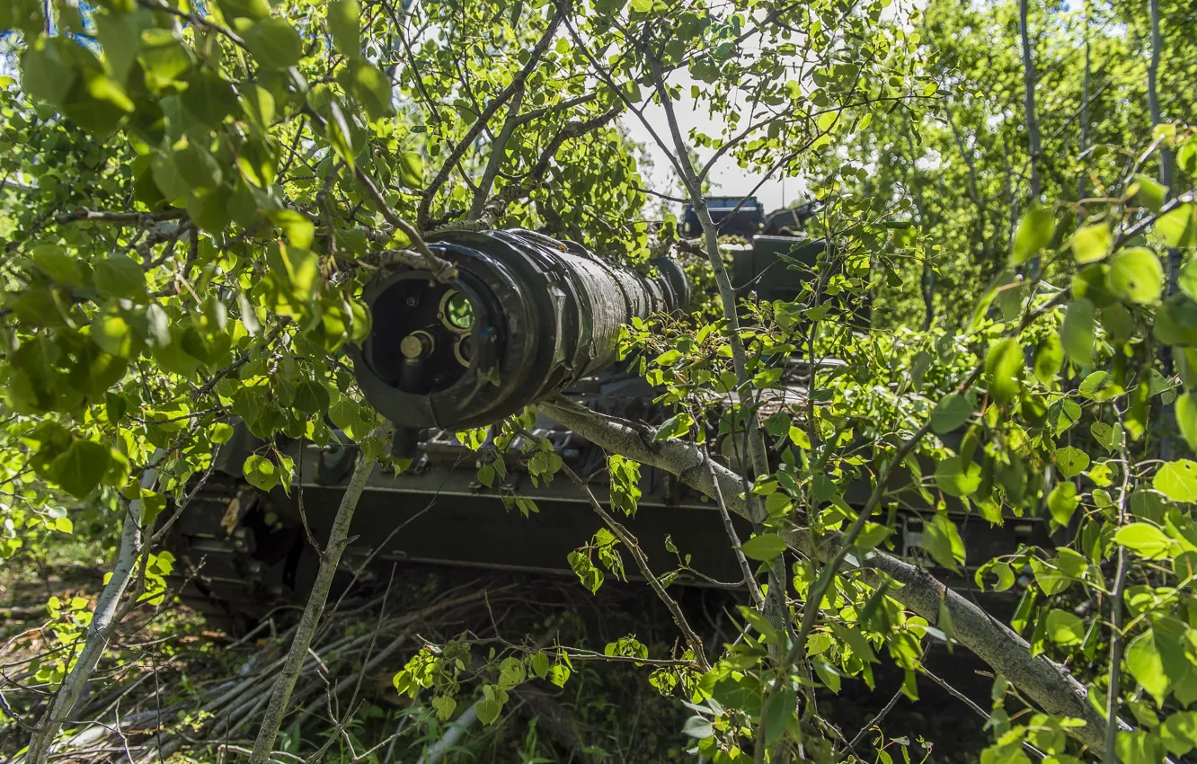 Photo wallpaper the barrel, tank, the bushes, combat, Leopard 2A6