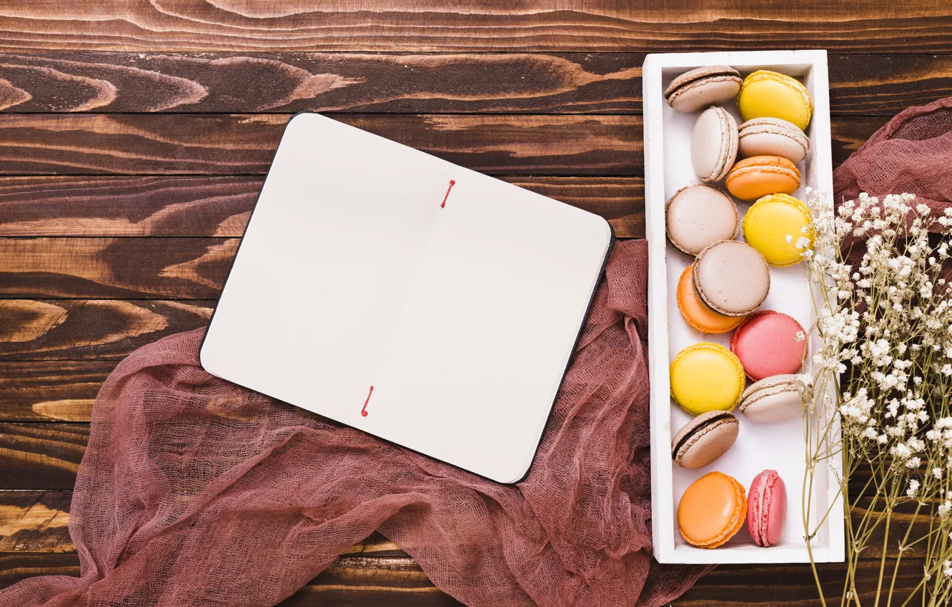 Photo wallpaper flowers, Notepad, macaroon