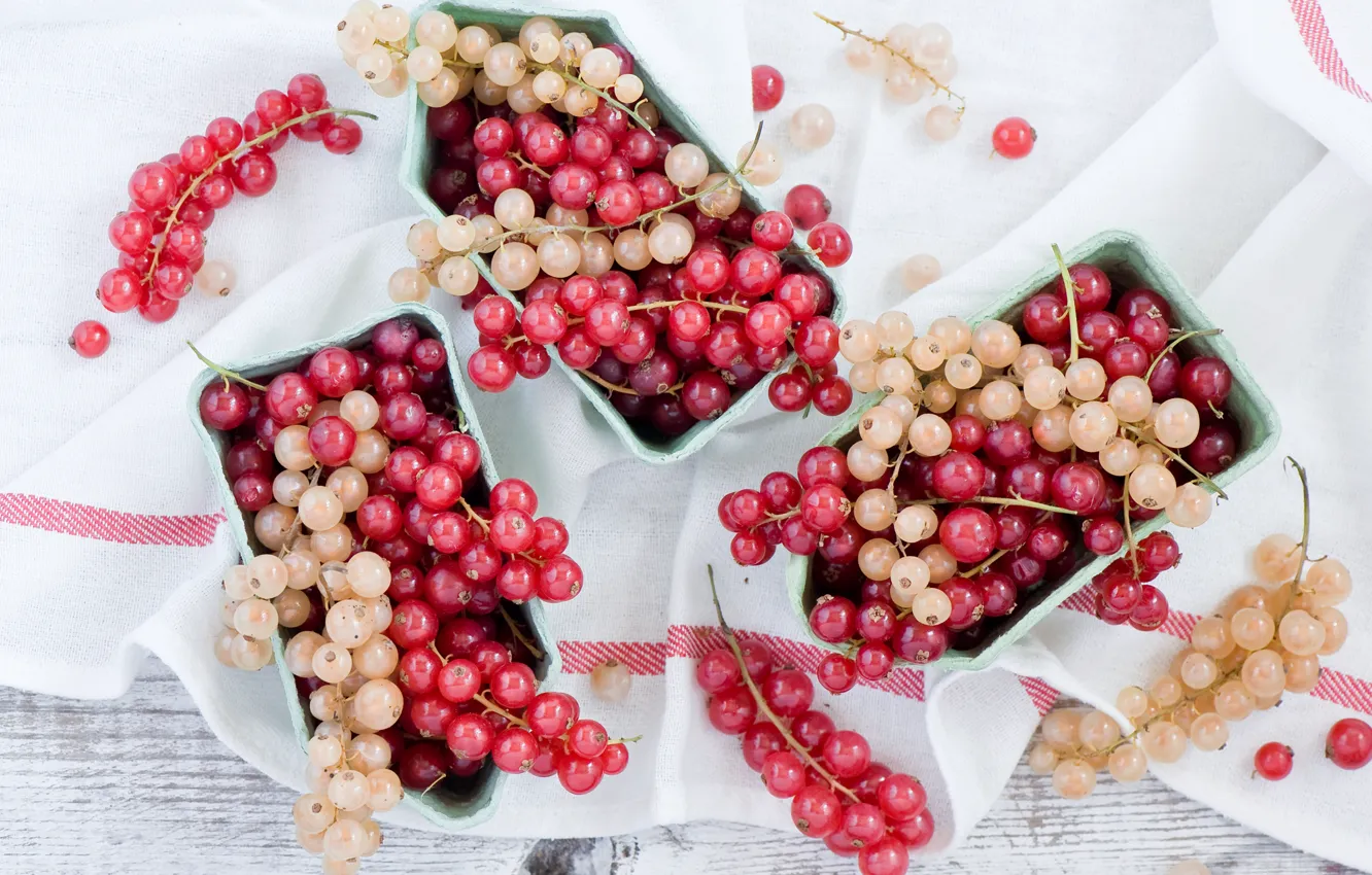 Photo wallpaper berries, brush, currants