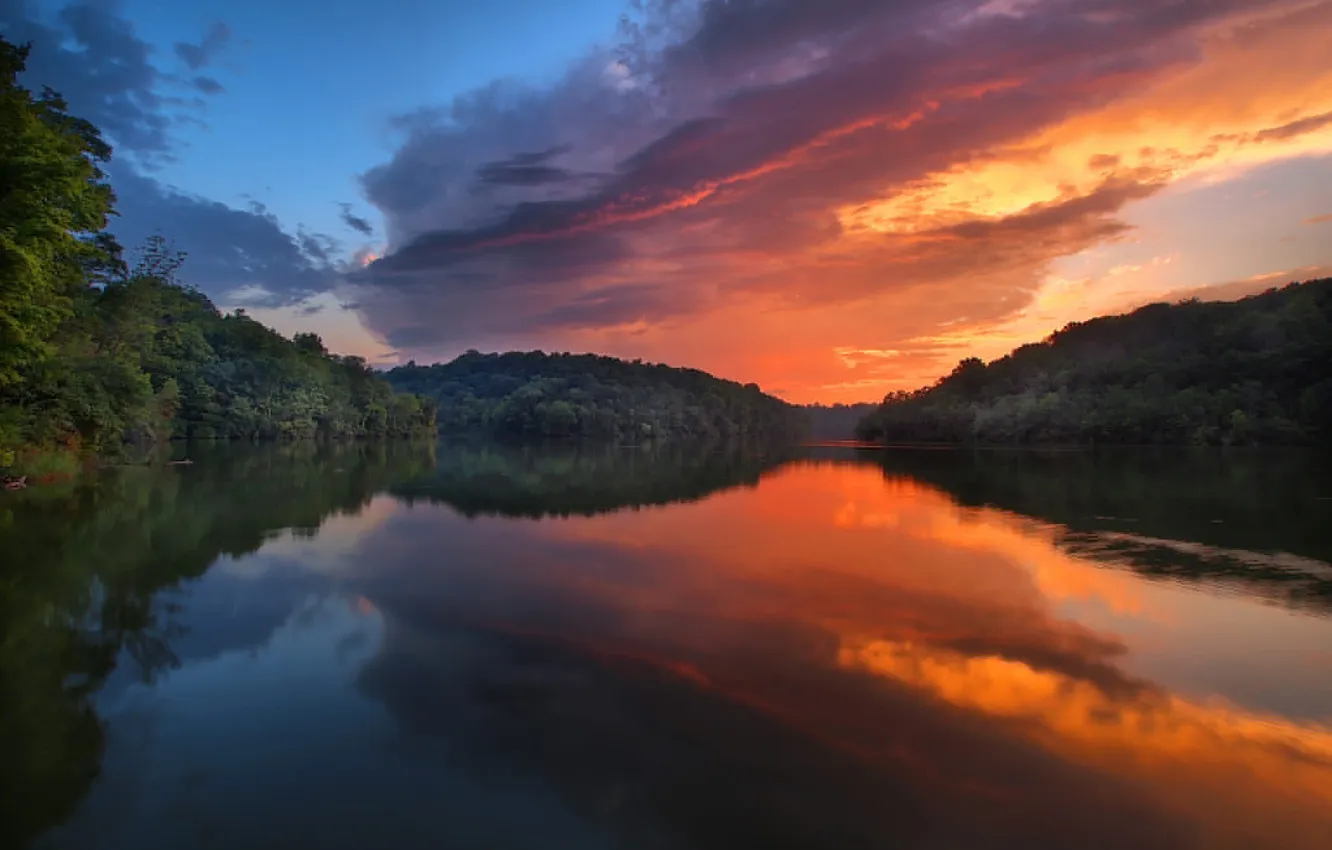 Photo wallpaper trees, landscape, sunset, lake
