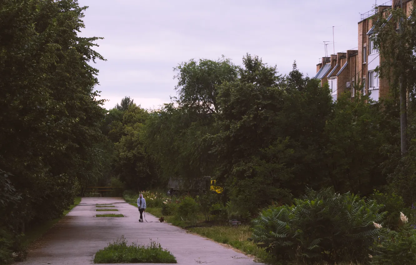 Photo wallpaper road, summer, girl, trees, the city, house, the building, dog
