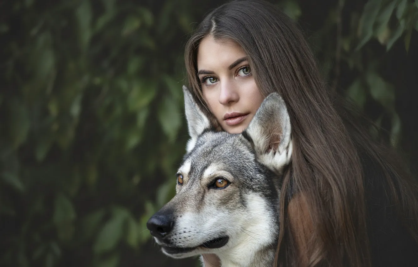 Photo wallpaper leaves, girl, pose, wolf, portrait, dog, fantasy, brown hair