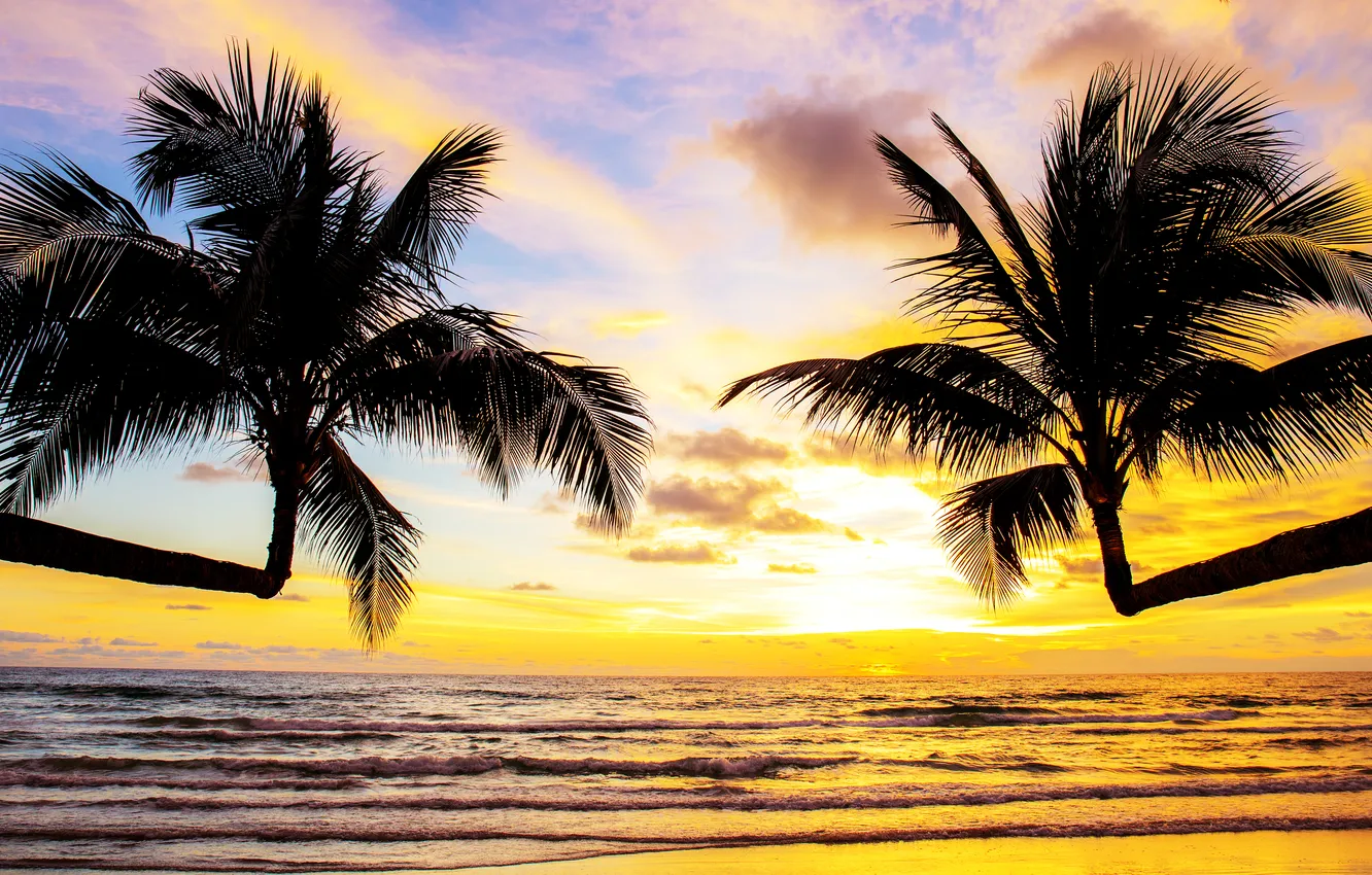 Photo wallpaper sand, sea, beach, summer, the sky, sunset, palm trees, summer