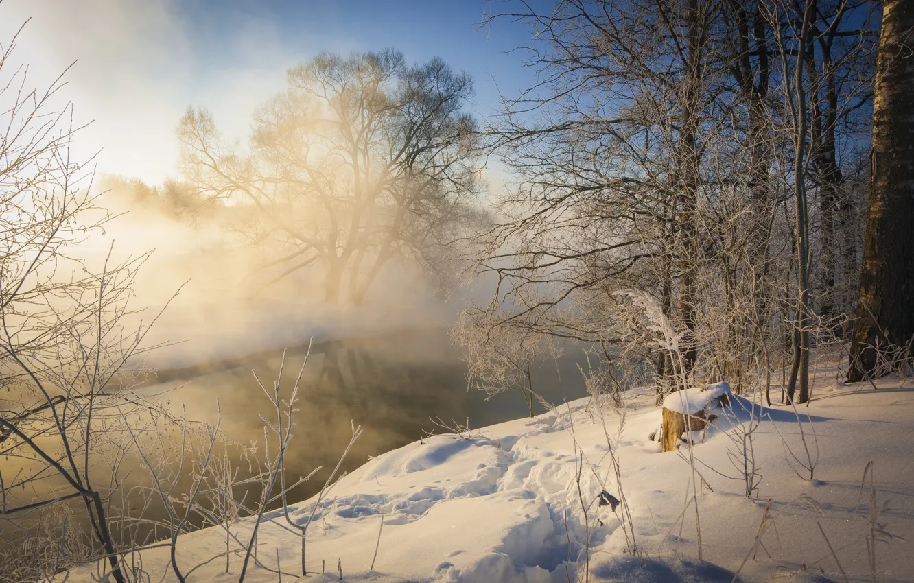 Photo wallpaper winter, snow, trees, landscape, nature, fog, river, frost