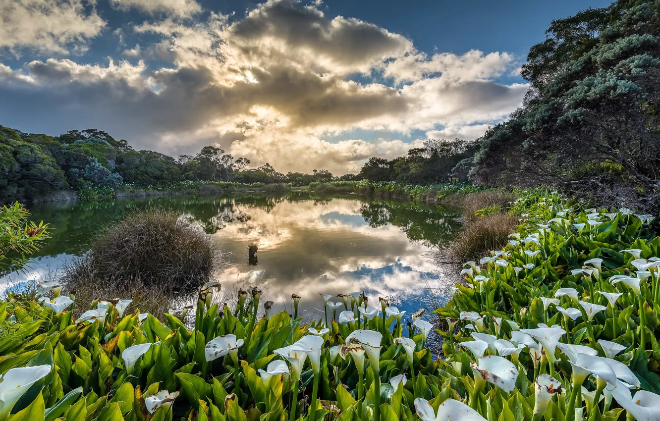 Photo wallpaper sunset, Reflexion, Reunion Island, Piton Water
