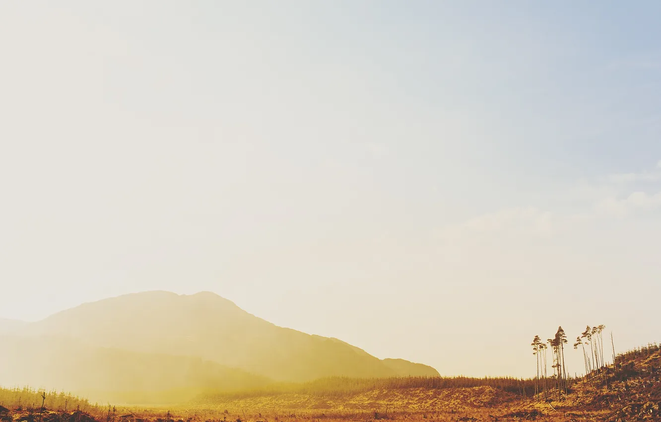 Photo wallpaper trees, mountains, hills