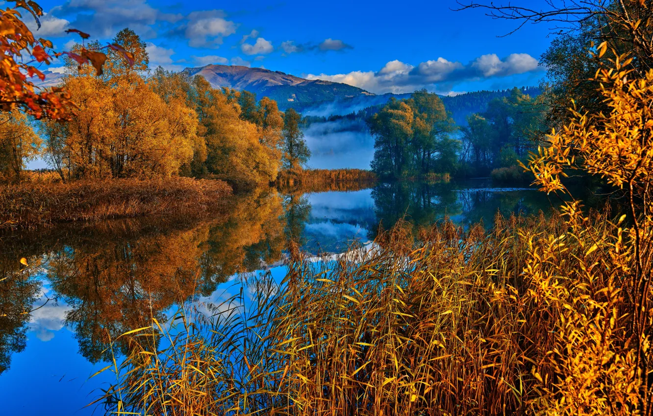 Photo wallpaper autumn, trees, mountains, reflection, river, Austria, Alps, reed