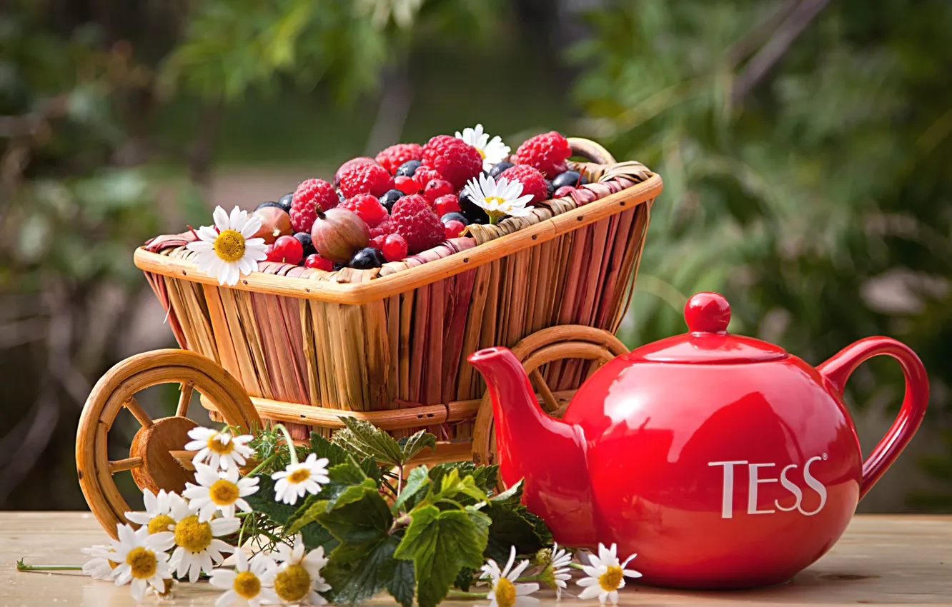 Photo wallpaper berries, tea, chamomile, kettle, brand, Tess