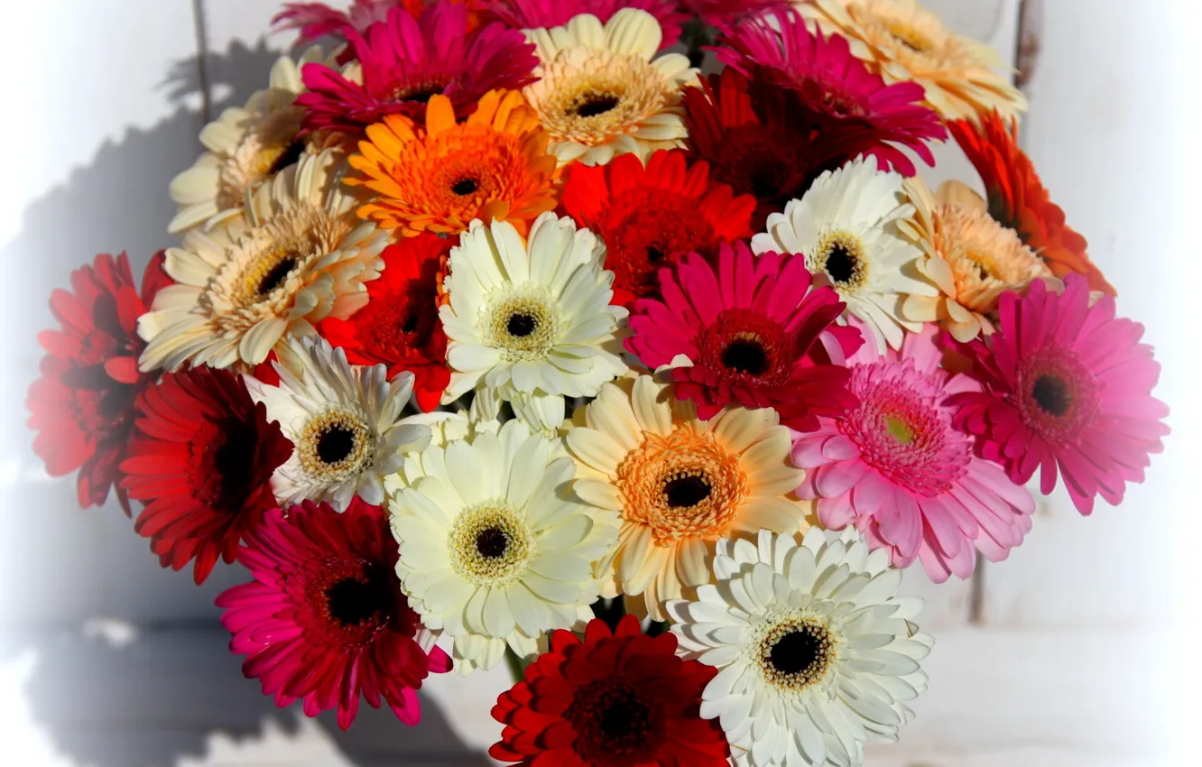 Photo wallpaper flowers, bouquet, beautiful, gerbera