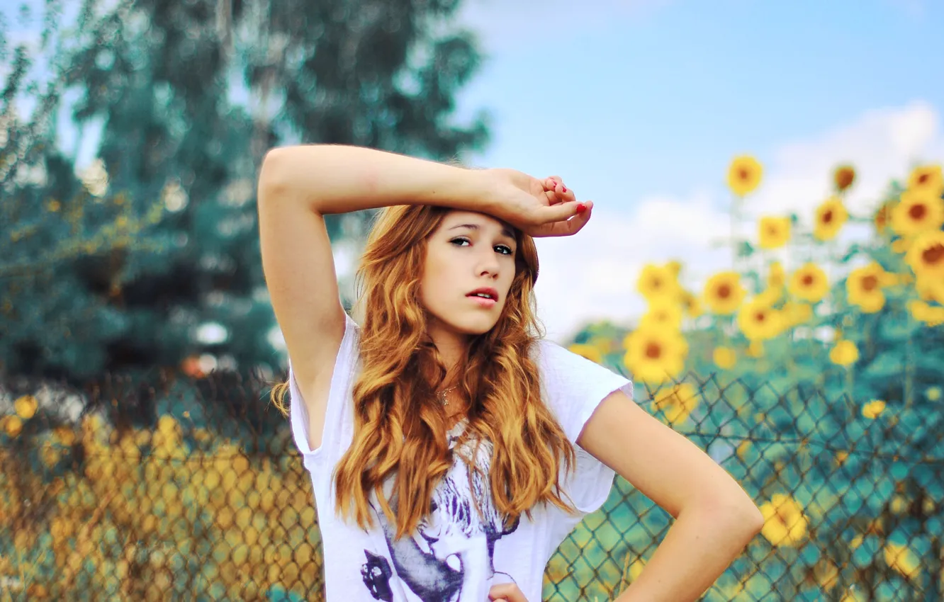 Photo wallpaper look, girl, sunflowers, fence, brown hair