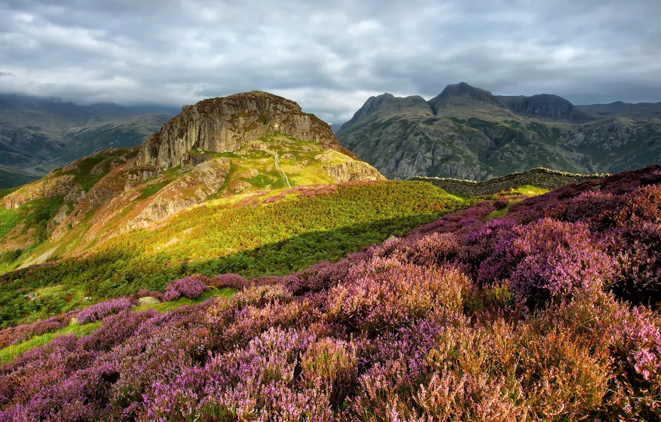 Photo wallpaper mountains, nature, flowering, England, Park Lake District, Side Pike and Lingmoor Fell