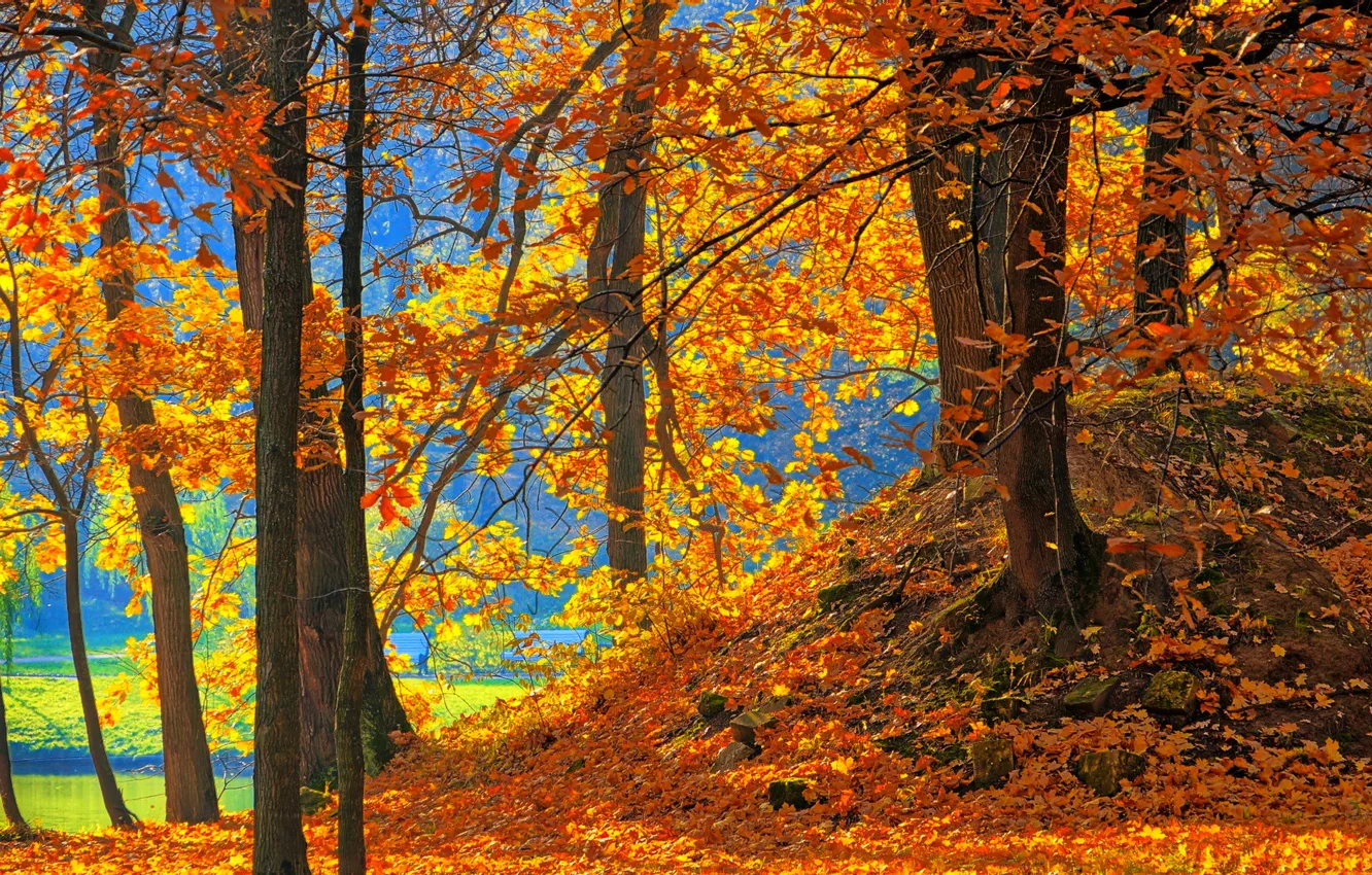 Photo wallpaper autumn, leaves, trees, Park, bench, pond