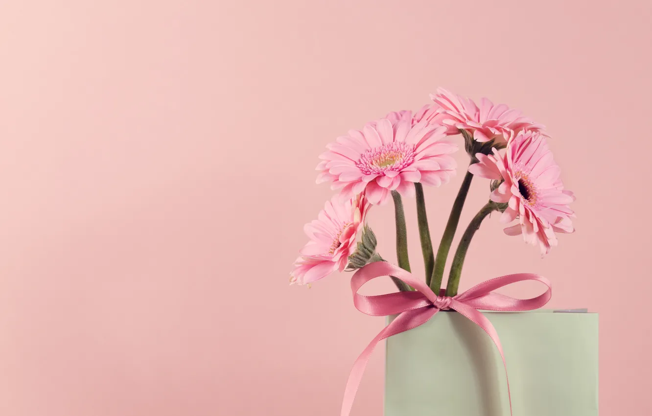 Photo wallpaper flowers, Vase, gerbera, pink background