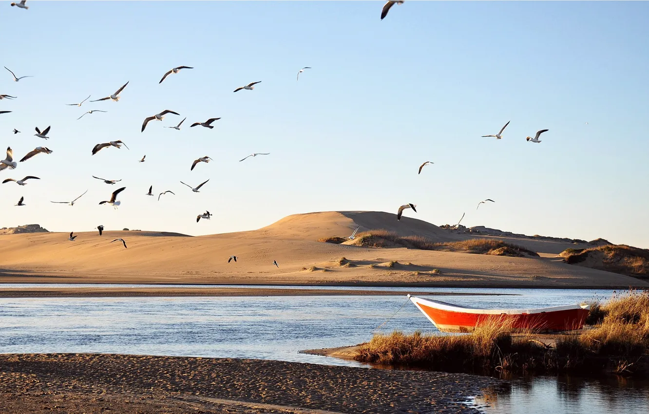 Photo wallpaper sand, water, birds, river, boat, dunes, stranded