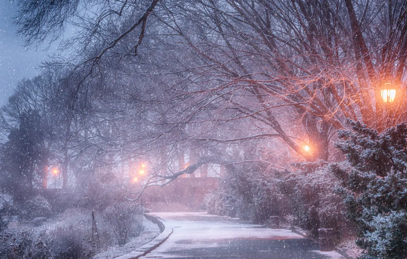 Photo wallpaper winter, snow, trees, Park, lights, track, Yury Lugansky