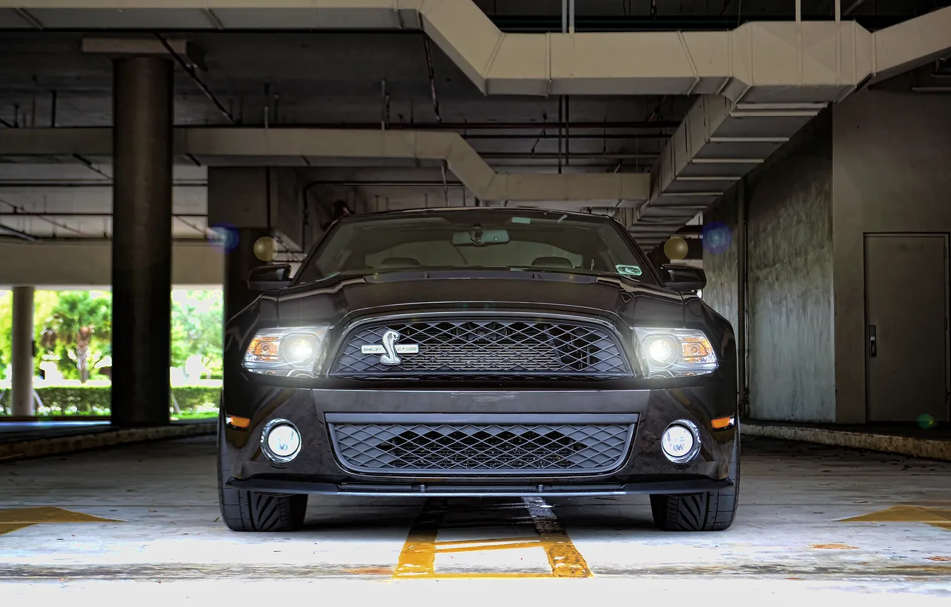 Photo wallpaper black, Mustang, Ford, Mustang, Shelby GT500, black, Ford, the front