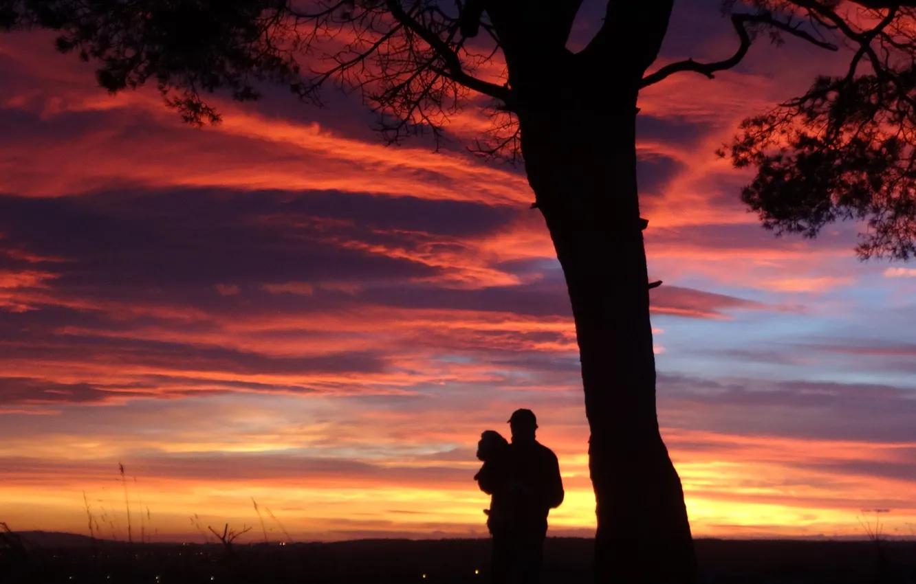 Photo wallpaper the sky, landscape, sunset, tree, silhouettes, people. dog