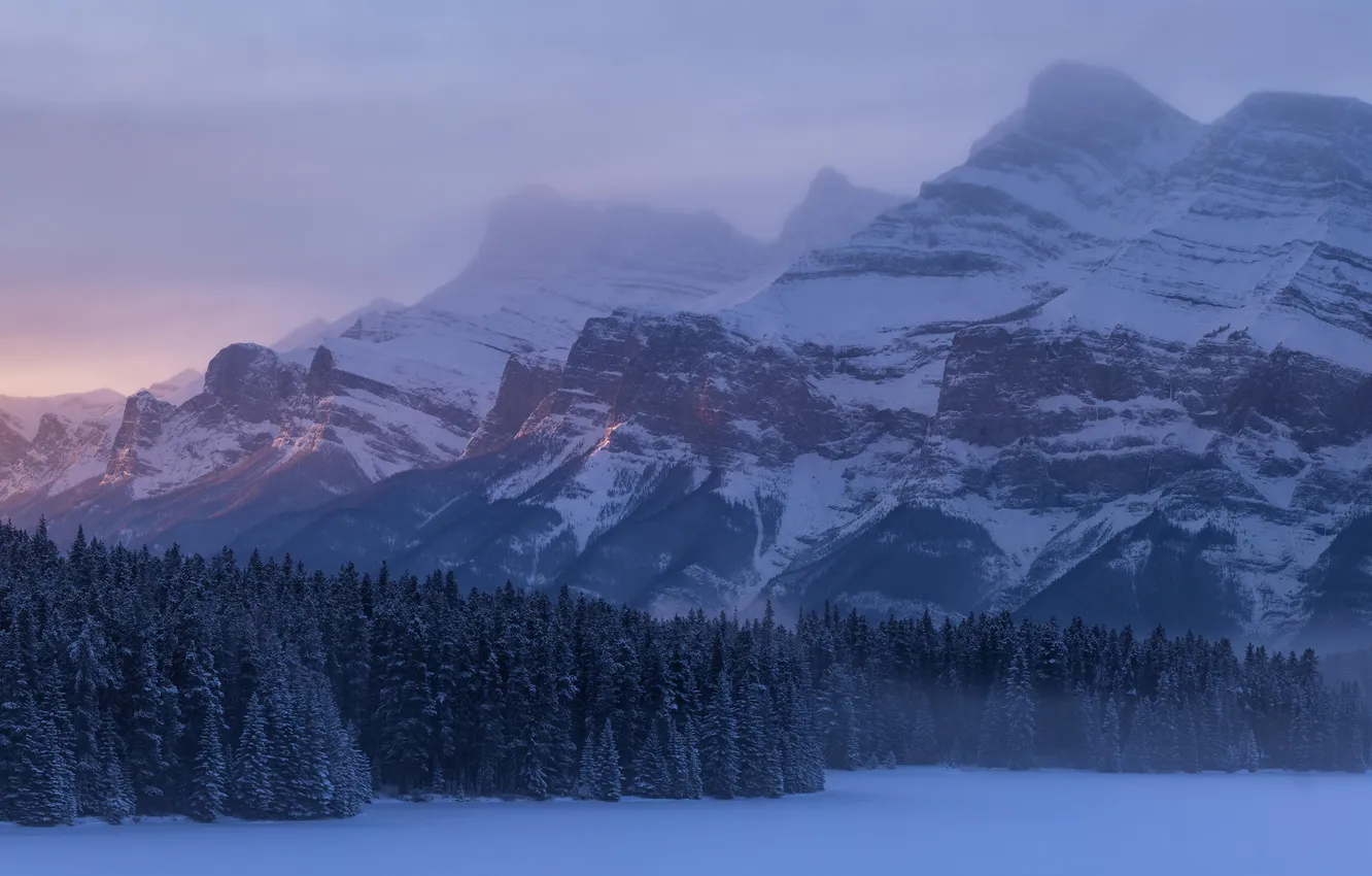 Photo wallpaper winter, forest, snow, trees, mountains, lake, rocks, panorama