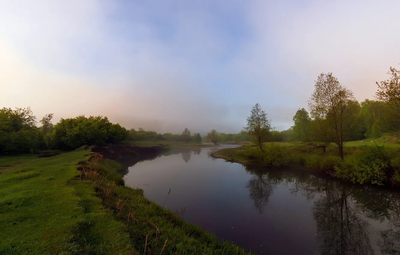 Photo wallpaper greens, forest, summer, the sky, grass, water, clouds, trees