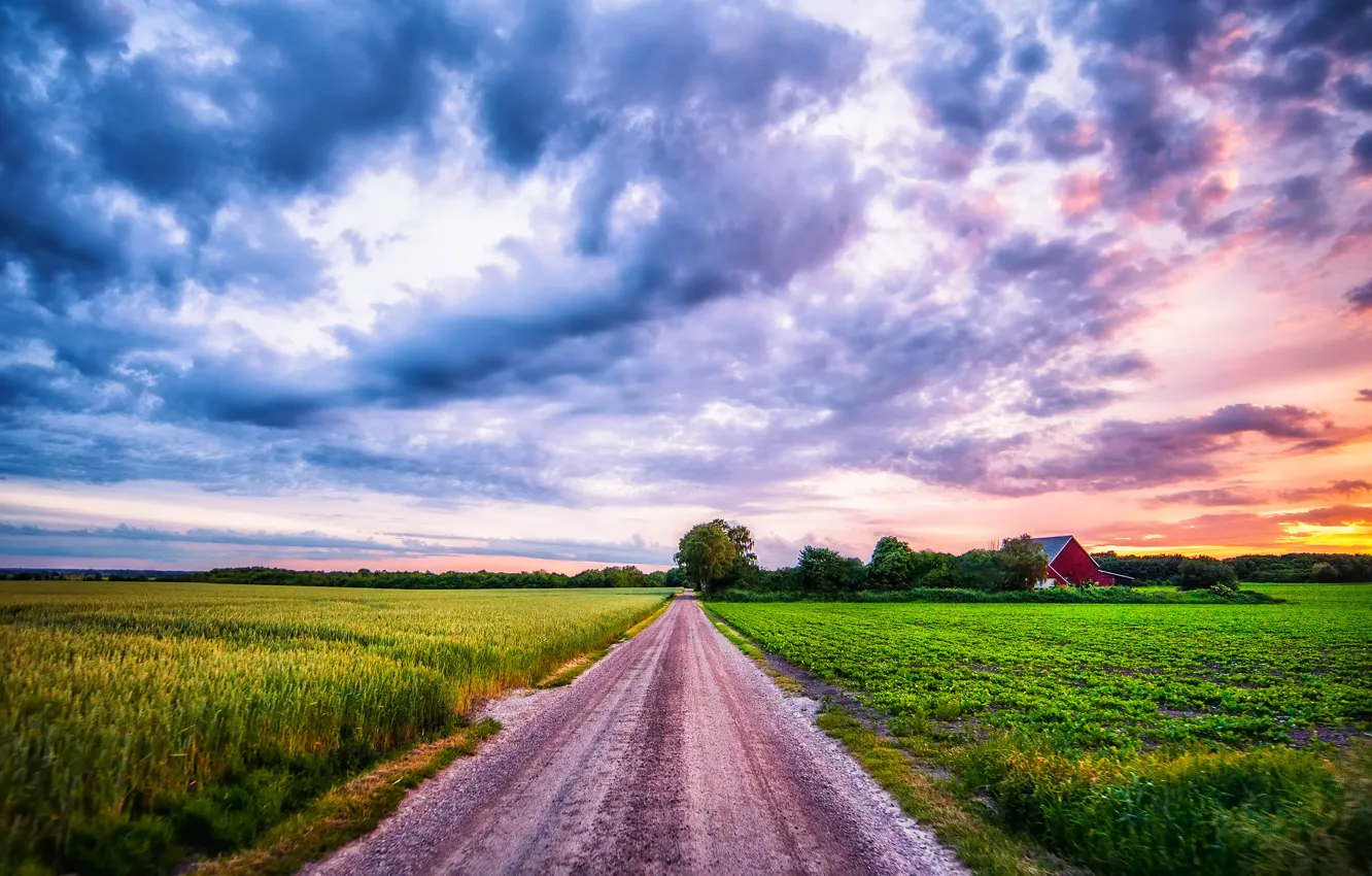 Photo wallpaper road, summer, the sky, clouds, landscape, sunset, Field, plants