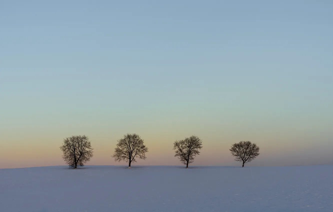 Photo wallpaper winter, field, snow, trees, landscape