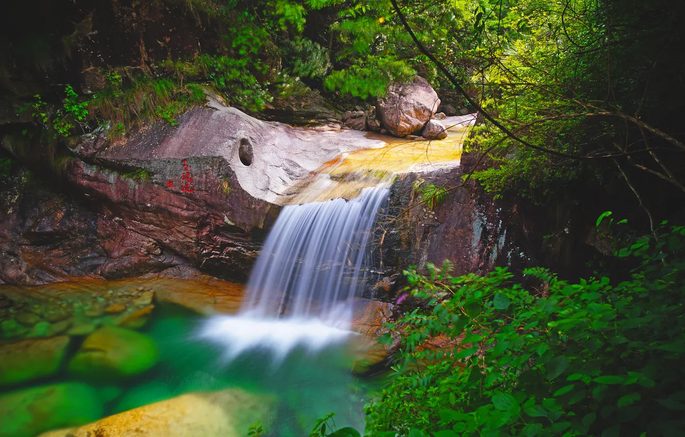 Photo wallpaper forest, nature, river, waterfall