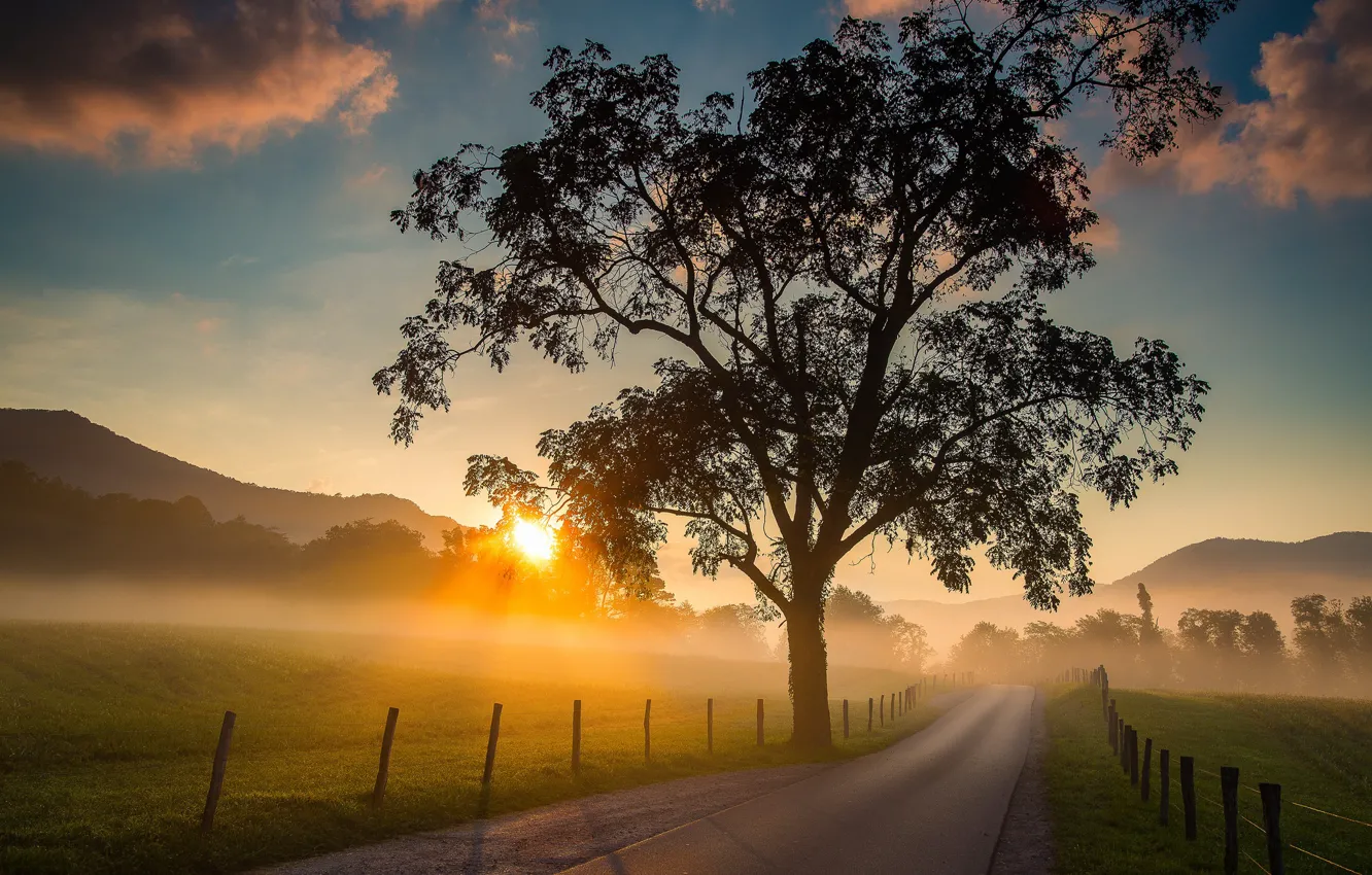 Photo wallpaper road, field, trees, sunrise, dawn, morning, Tennessee, Cades Cove