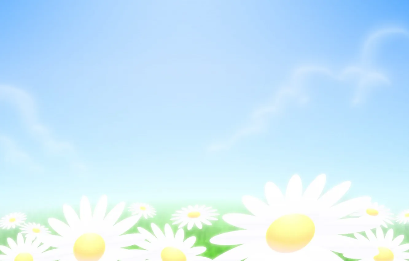 Photo wallpaper the sky, chamomile, minimalism